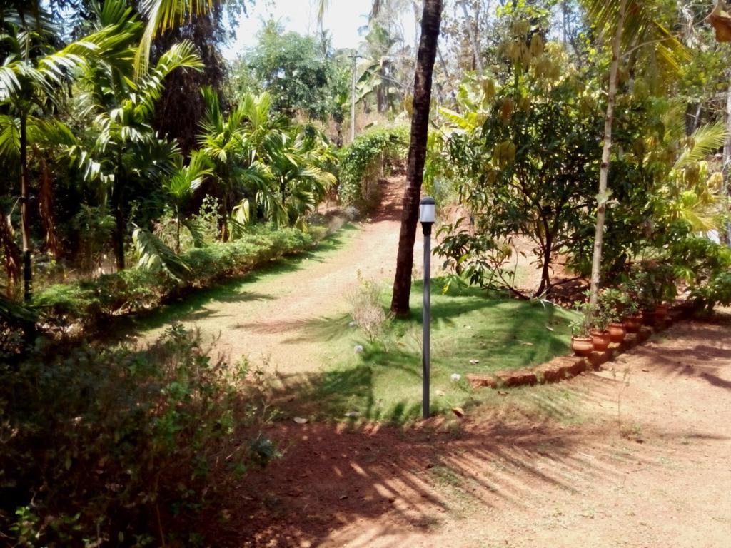 Ocean Green Kerala Kannur Eksteriør bilde