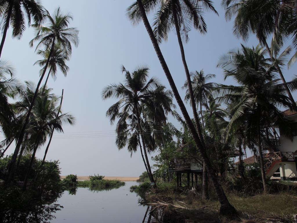 Ocean Green Kerala Kannur Eksteriør bilde