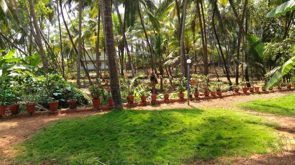 Ocean Green Kerala Kannur Eksteriør bilde