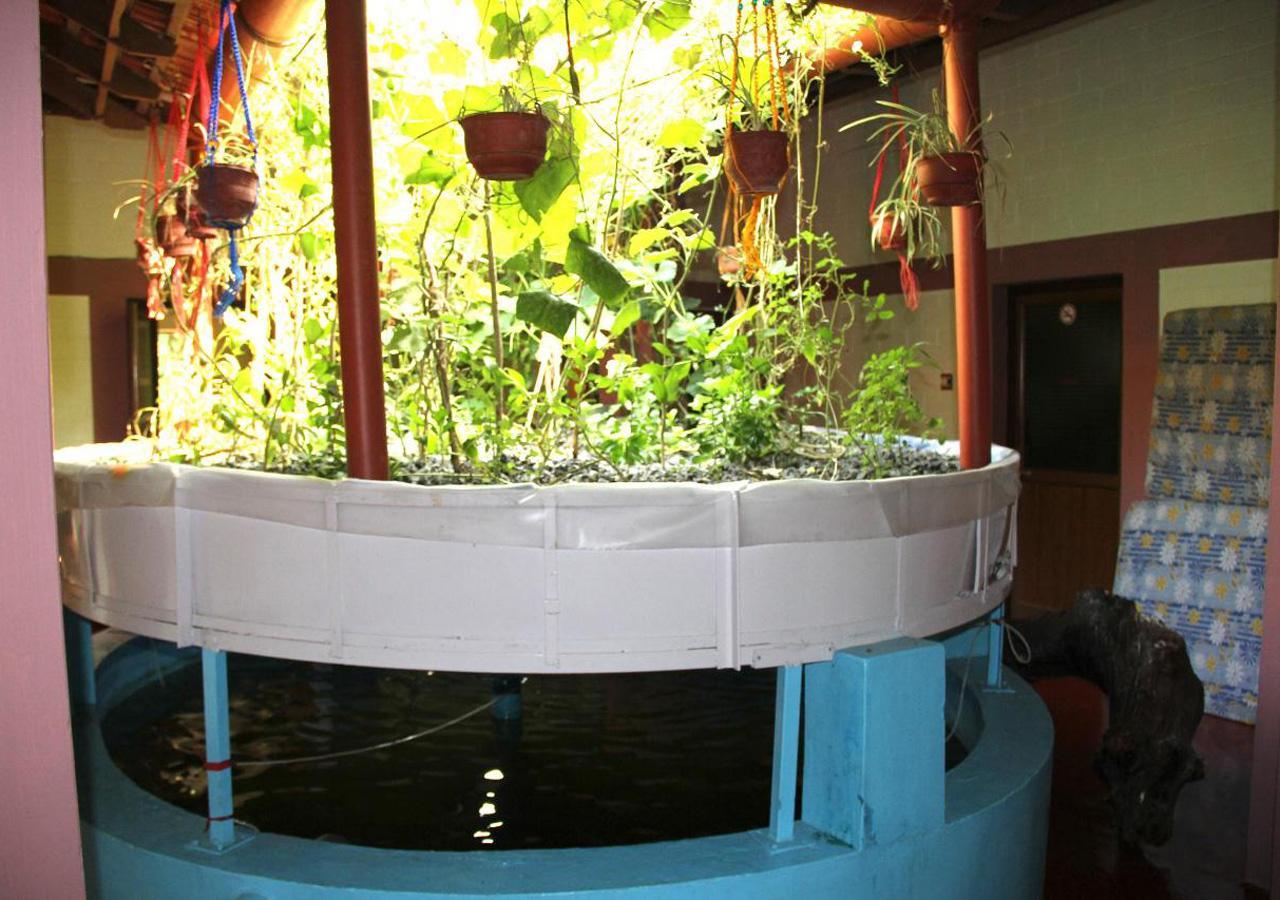 Ocean Green Kerala Kannur Eksteriør bilde