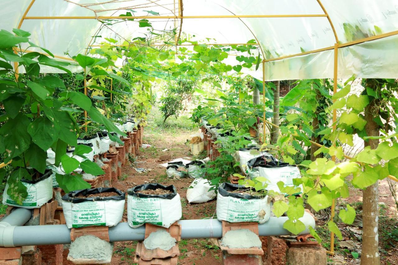 Ocean Green Kerala Kannur Eksteriør bilde