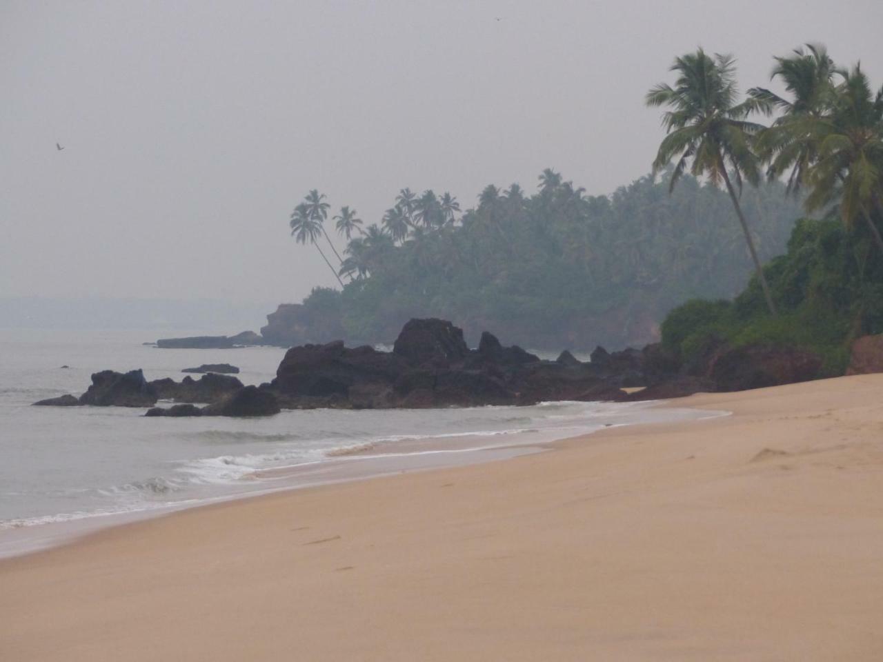 Ocean Green Kerala Kannur Eksteriør bilde