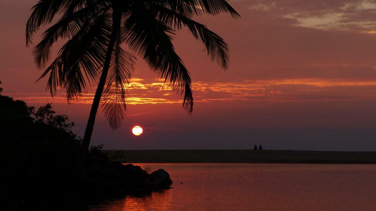 Ocean Green Kerala Kannur Eksteriør bilde